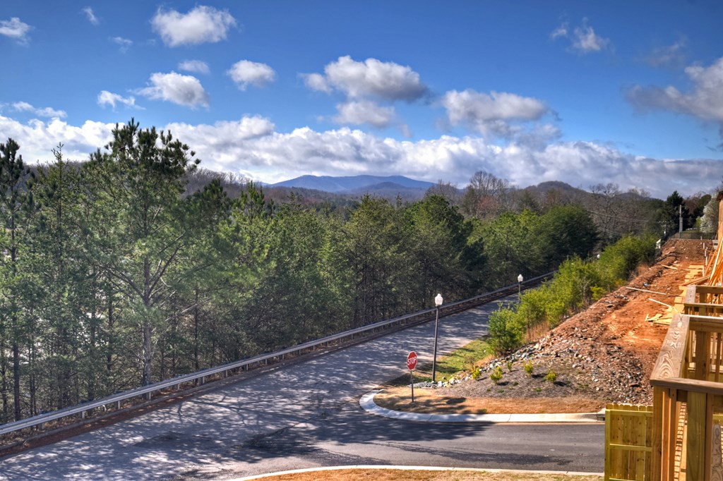 Unit 7 Grove Loop, Blue Ridge, GA 30513 — photo 3