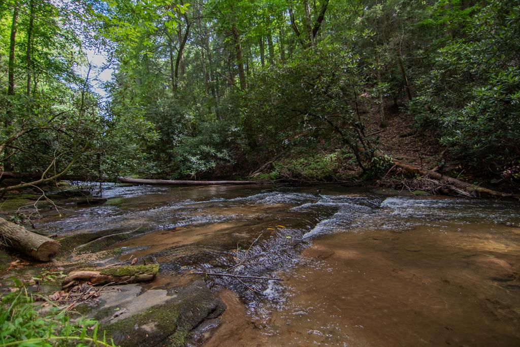 1990 Big Creek Road, Blue Ridge, GA 30513 — photo 3