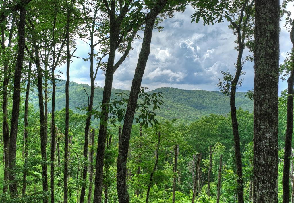 Lot 22 Mountain Trace — photo
