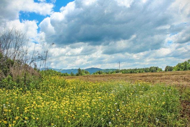 00 Hwy 64 E — photo