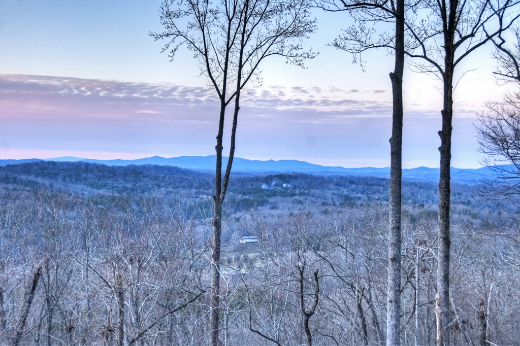 415 Green Ridge Trail, Blue Ridge, GA 30513 — photo 3