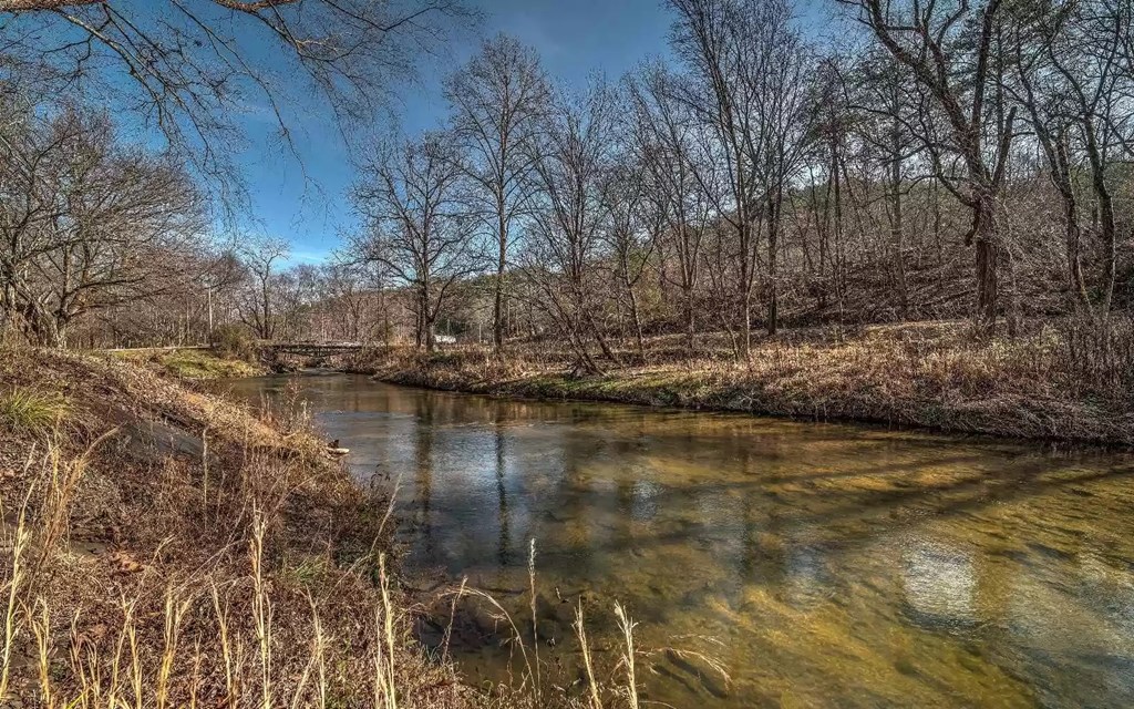 141 Mountain Rivers Road, Mineral Bluff, GA 30559 — photo 3