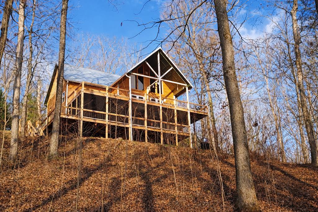 236 Grace Drive, Blue Ridge, GA 30513