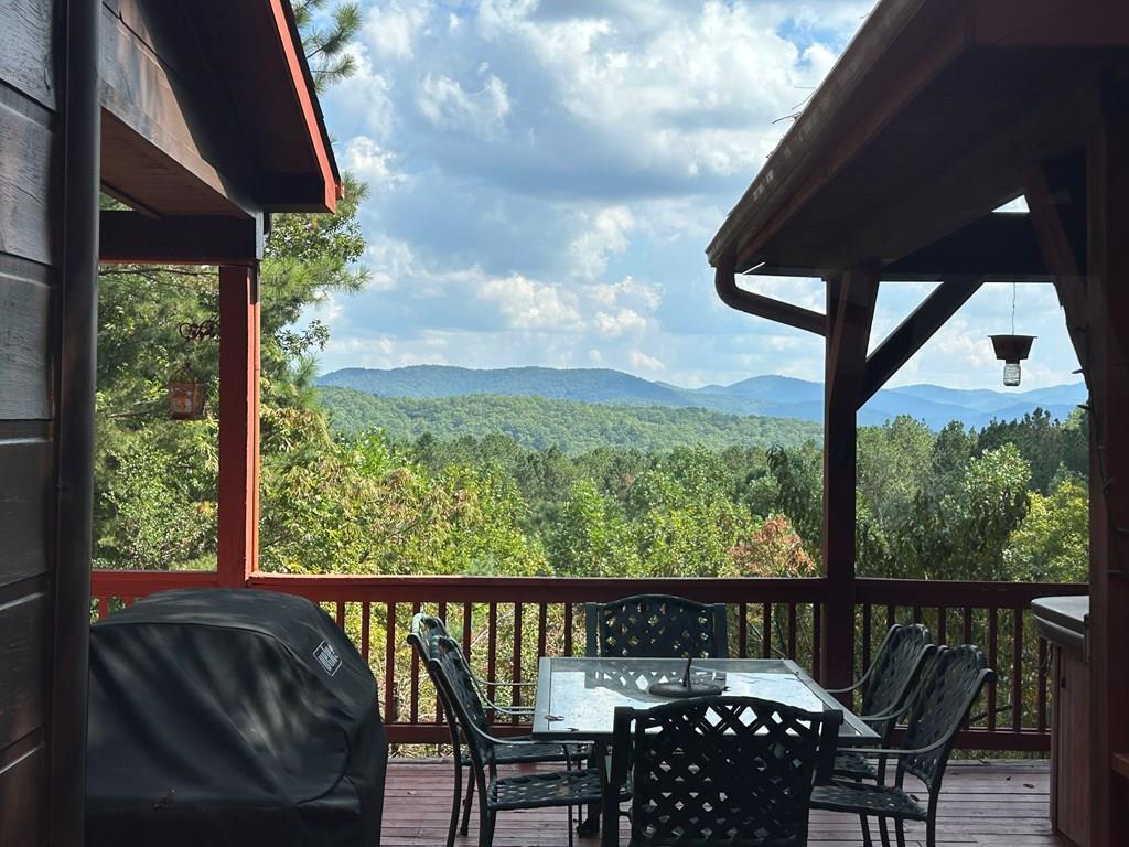 603 Redberry Ridge Road, Blue Ridge, GA 30513