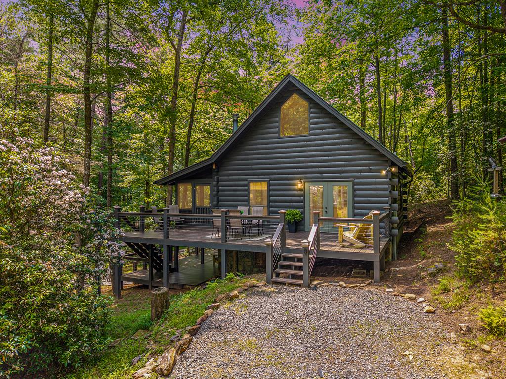 40 Lakeside Drive, Blue Ridge, GA 30513