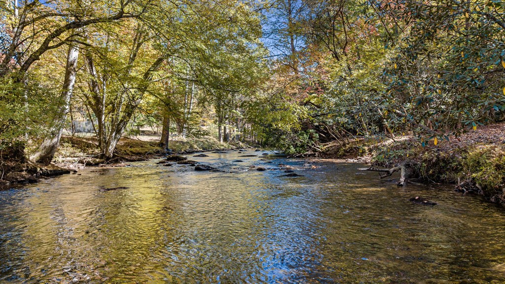 184 Spence Road, Blue Ridge GA 30513 — photo 3