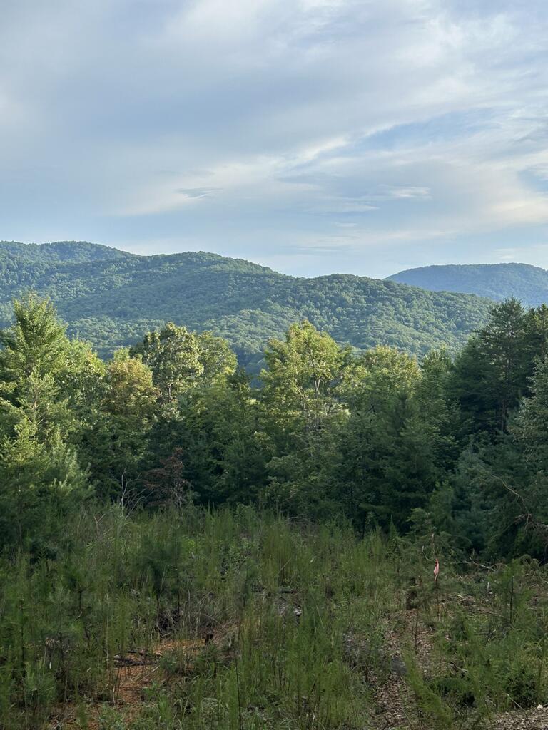 0 Stanleys Ridge — photo