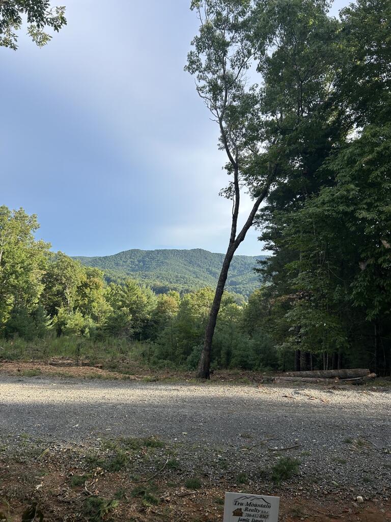 0 Stanleys Ridge, Morganton, GA 30560 — photo 2