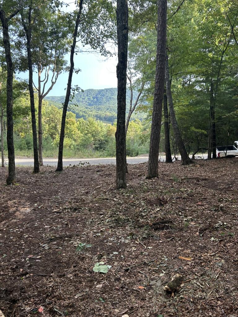 0 Stanleys Ridge, Morganton, GA 30560 — photo 3