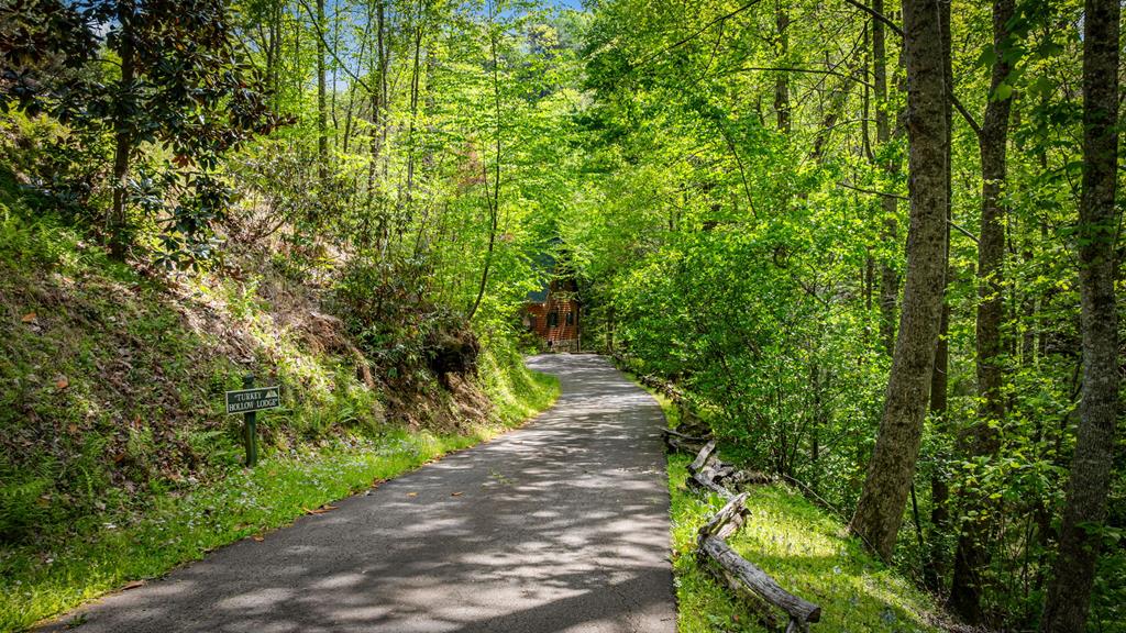 180 Down Under Road, Blue Ridge GA 30513 — photo 2