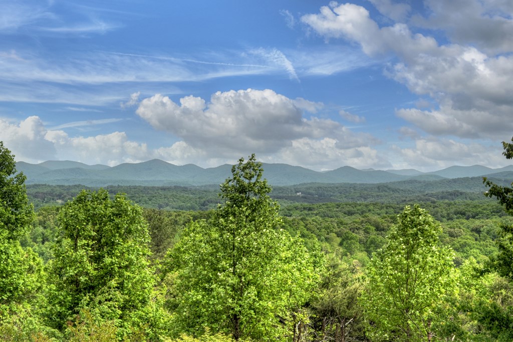 205 Lookout Drive, Blue Ridge, GA 30513 — photo 2