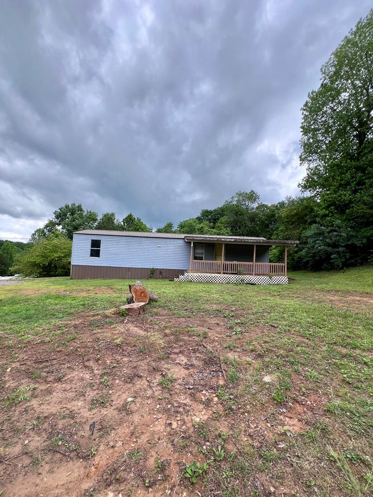 2018 Mineral Bluff Highway — photo