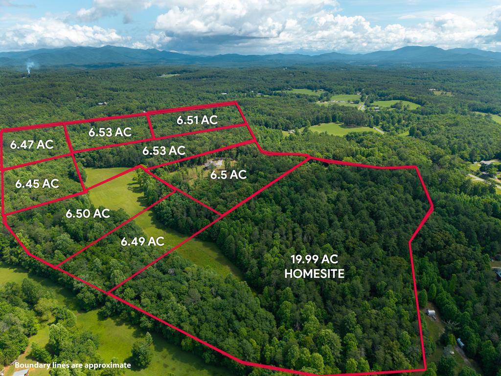 5664 Mobile Road, Blue Ridge GA 30513