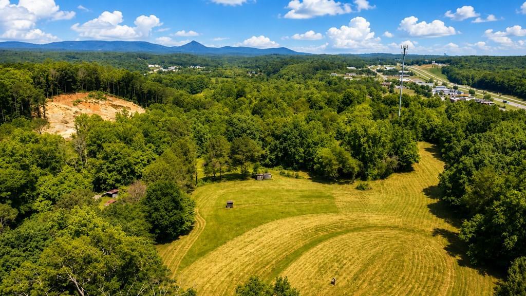 773 Fairview Road, Jasper, GA 30143 — photo 2