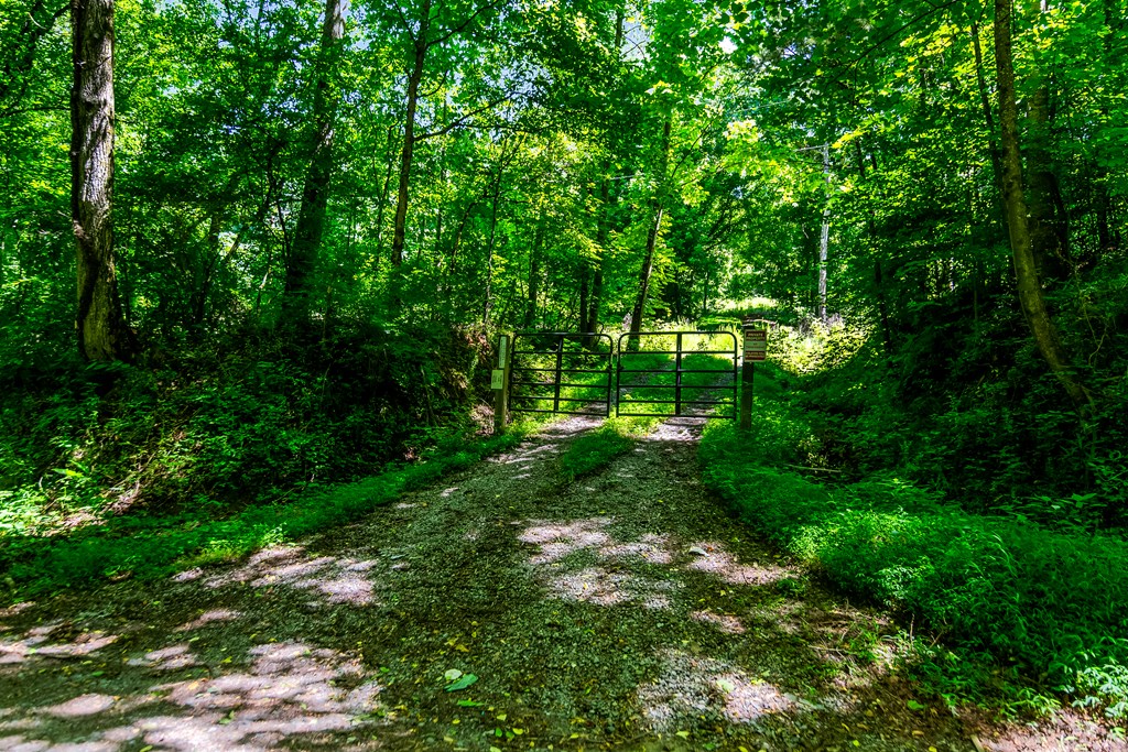 773 Fairview Road, Jasper, GA 30143 — photo 3
