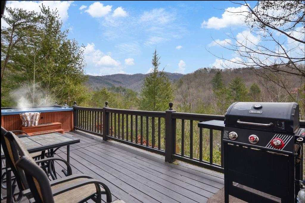 216 Laurel Creek Road, Blue Ridge, GA 30513 — photo 3