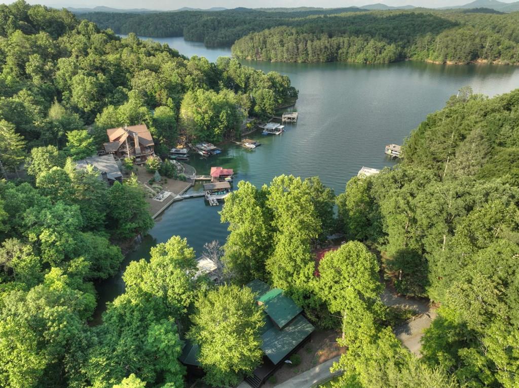 1820 Shady Falls Road, Blue Ridge, GA 30513 — photo 2