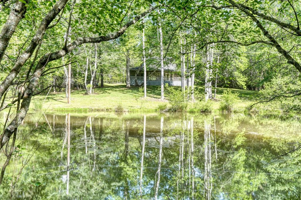 1493 Greasy Creek Road — photo