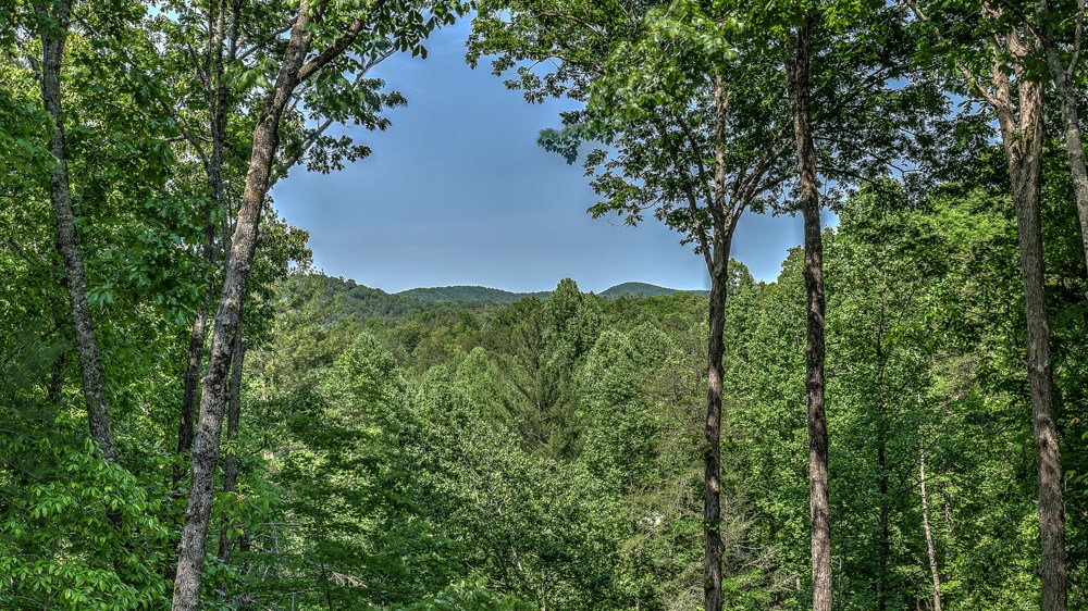 155 Shayla Drive, Blue Ridge, GA 30513 — photo 2
