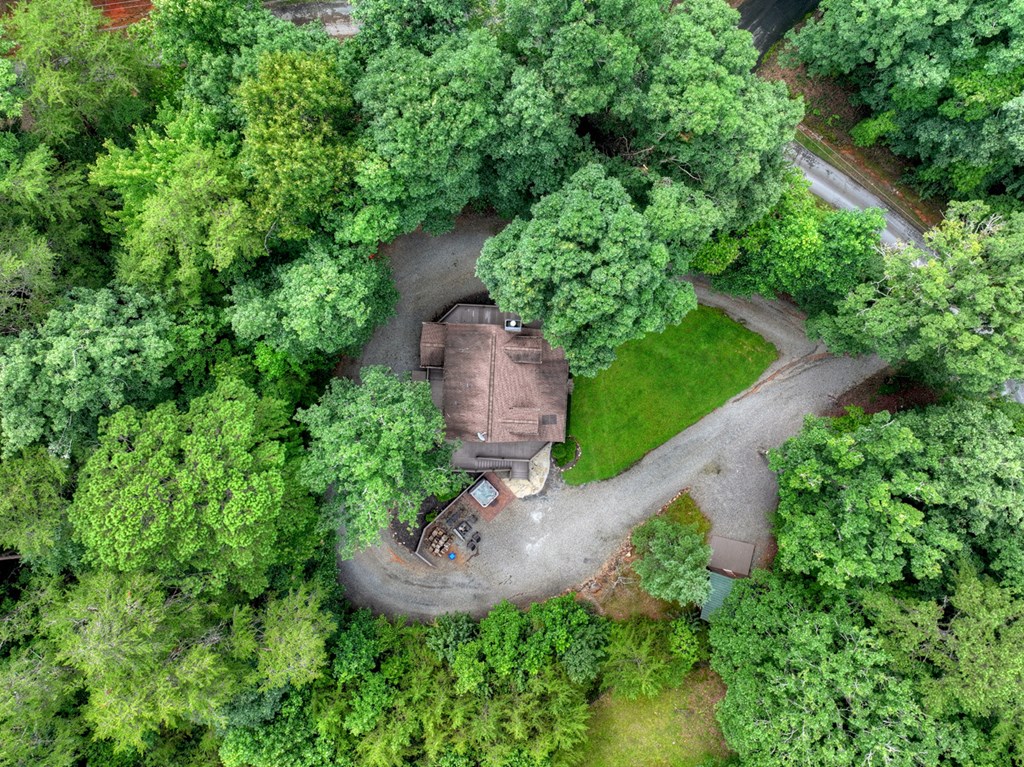 115 Fox Run Drive, Blue Ridge, GA 30513 — photo 3