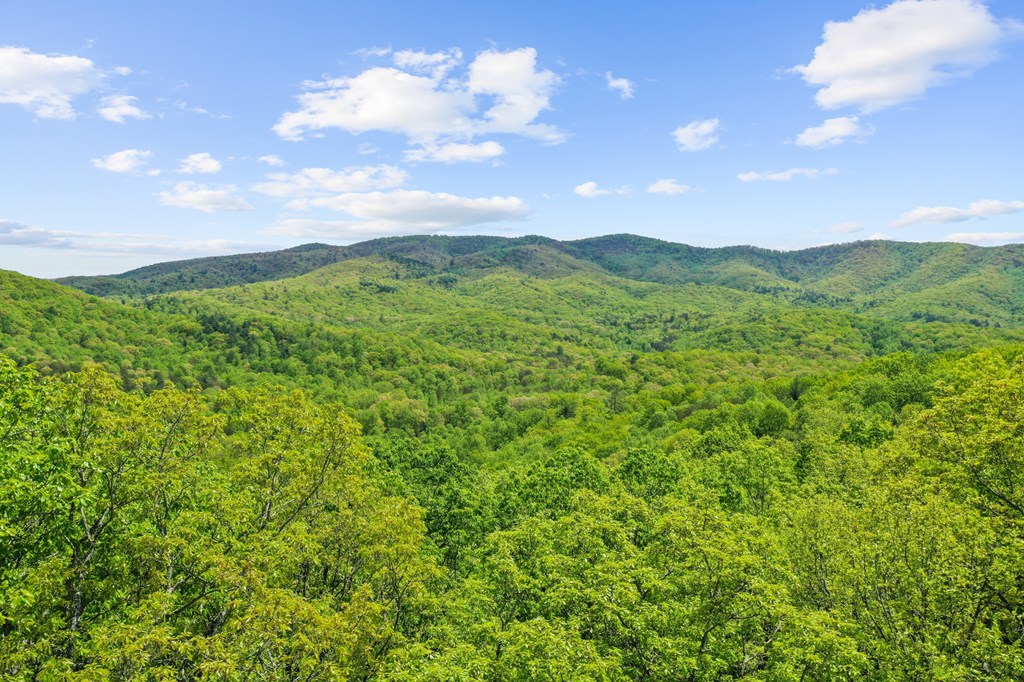 LT 19 Forest Ridge Drive, Blue Ridge, GA 30540 — photo 2