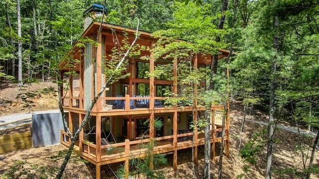 1360 Black Ankle Creek Road — photo