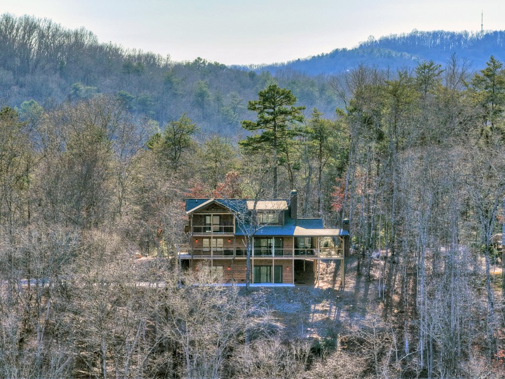 315 River Retreat Road, Blue Ridge GA 30513 — photo 3