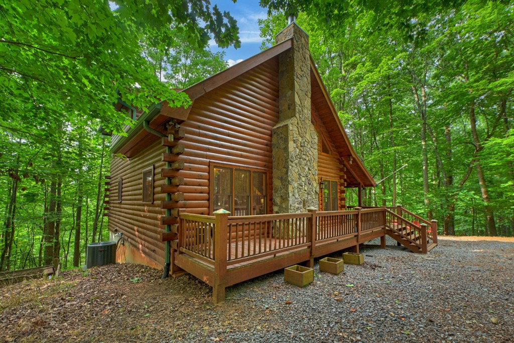 541 Little Bushy Head Road, Blue Ridge GA 30513 — photo 3
