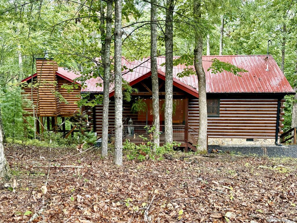 9 Casey Court, Blue Ridge, GA 30513 — photo 2