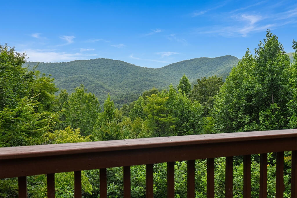 769 Ross Ridge Road, Blairsville, GA 30512 — photo 3