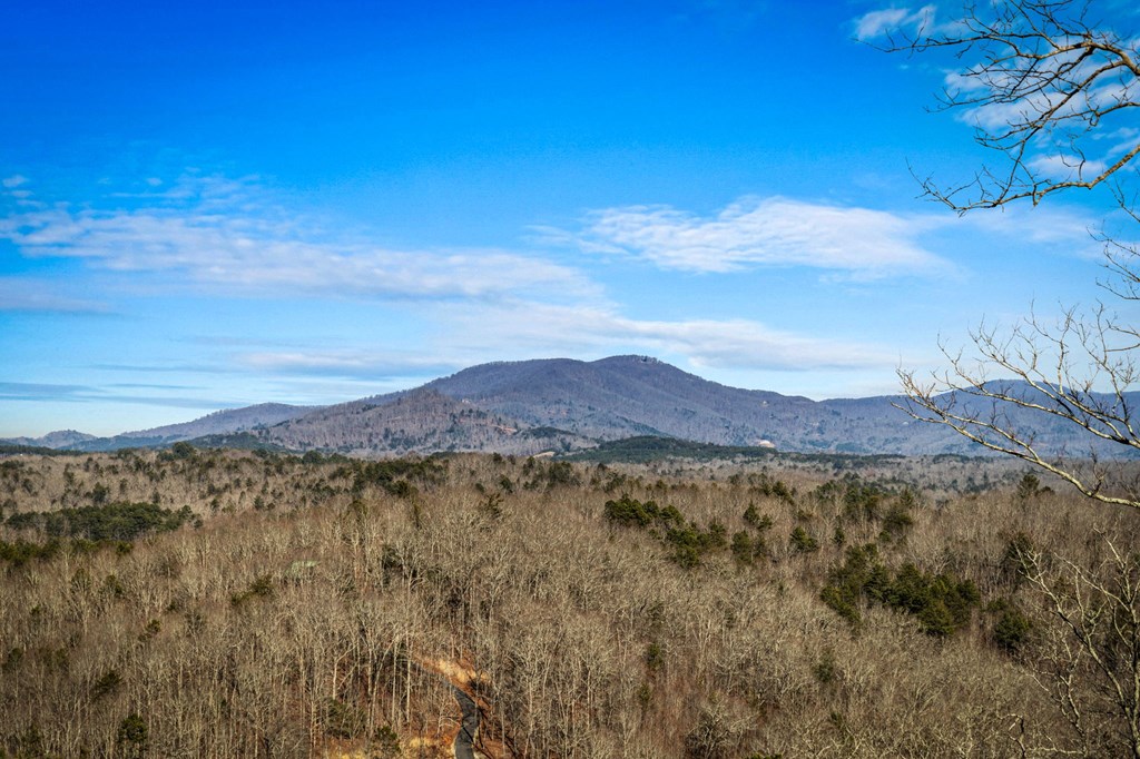 31 Hope Drive, Blue Ridge, GA 30513 — photo 3
