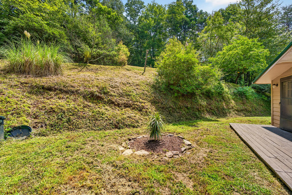 120 Old Hollow Road, Blue Ridge, GA 30513 — photo 3