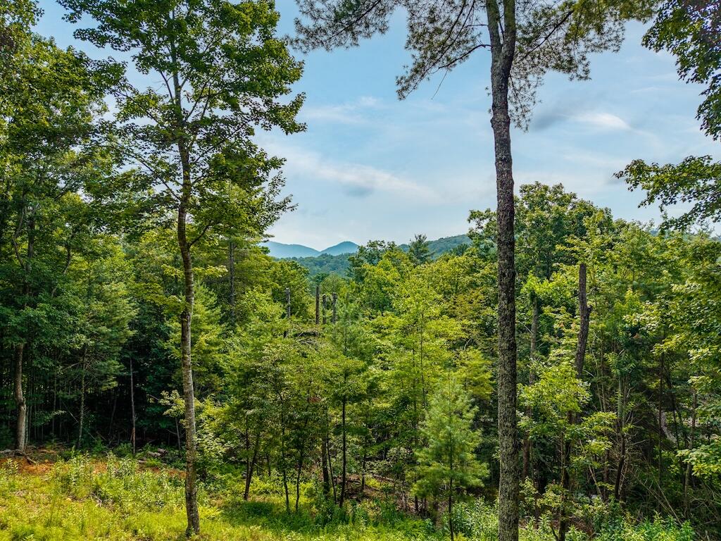 120 Bell Camp Ridge Road, Blue Ridge, GA 30513 — photo 3