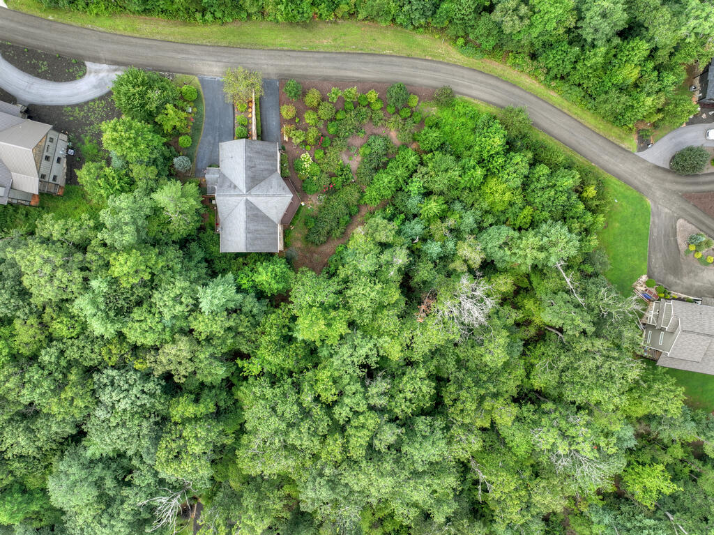 78 Longview Lane, Blue Ridge, GA 30513 — photo 3