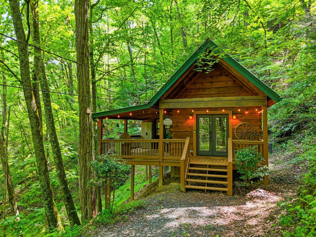 329 Laurel Ridge Drive, Blue Ridge, GA 30513 — photo 3