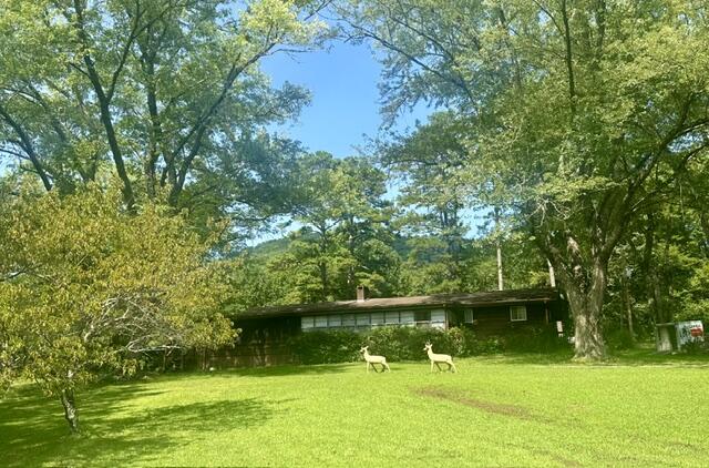 7324 Hwy 294 — photo