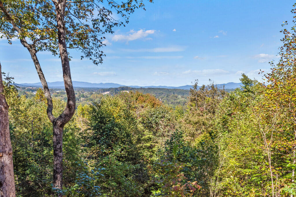 279 High Point Trail, Blue Ridge, GA 30513 — photo 3