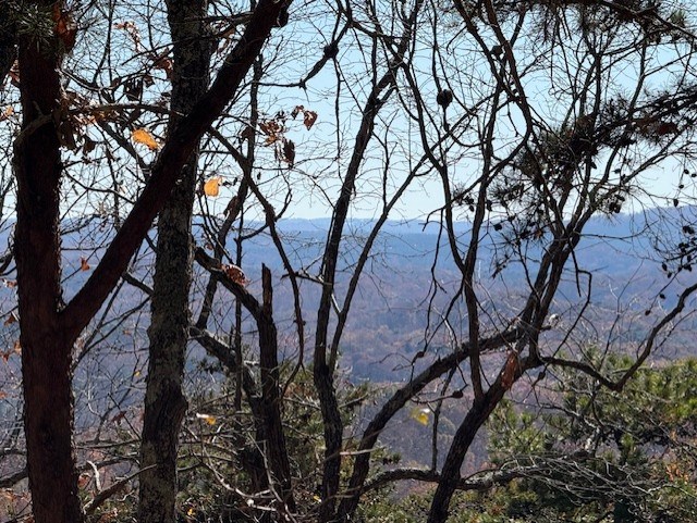0 John Call Road, Talking Rock, GA 30175 — photo 2