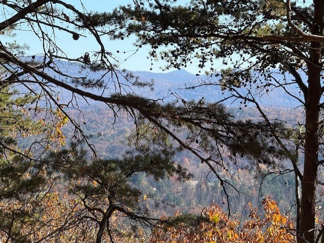 0 John Call Road, Talking Rock, GA 30175 — photo 3