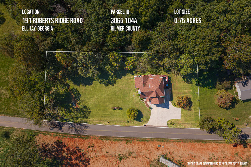 191 Roberts Ridge, Ellijay, GA 30540 — photo 3