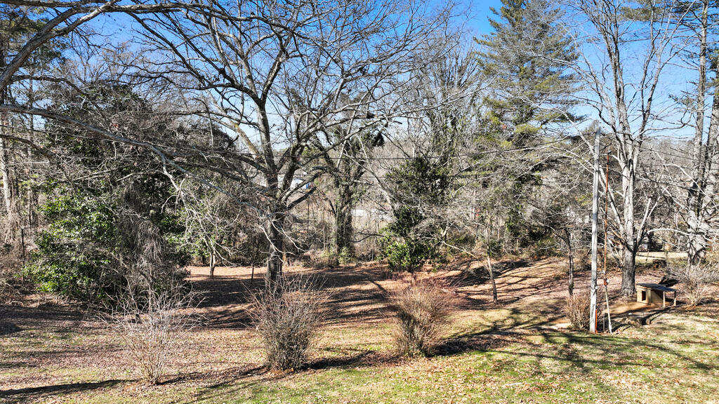 1430 Blue Ridge Drive, Blue Ridge, GA 30513 — photo 3