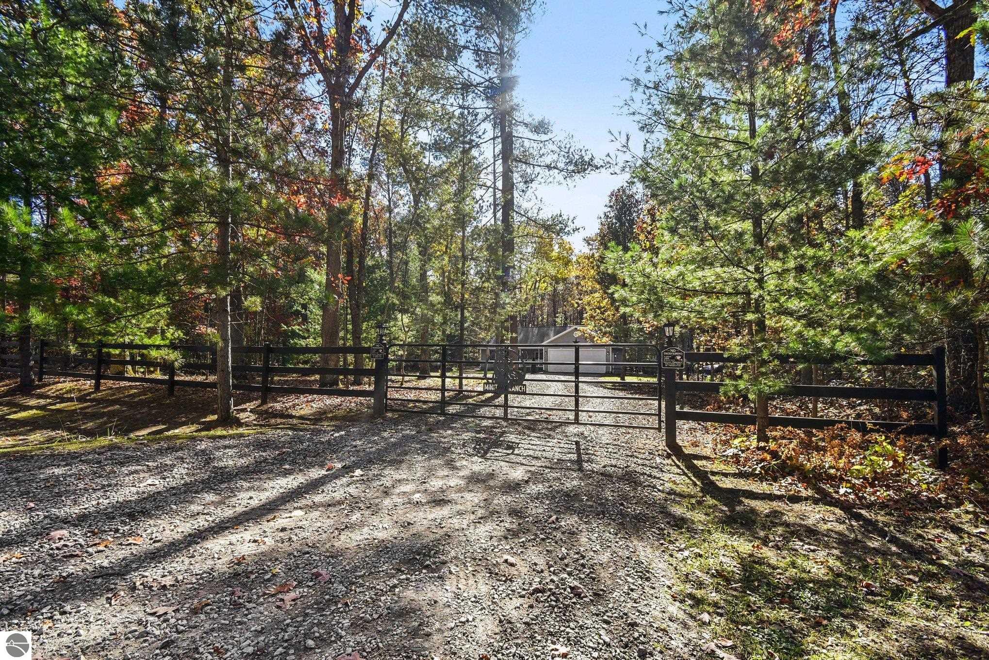6131 Shellenbarger Road, Hale, MI 48739 — photo 3