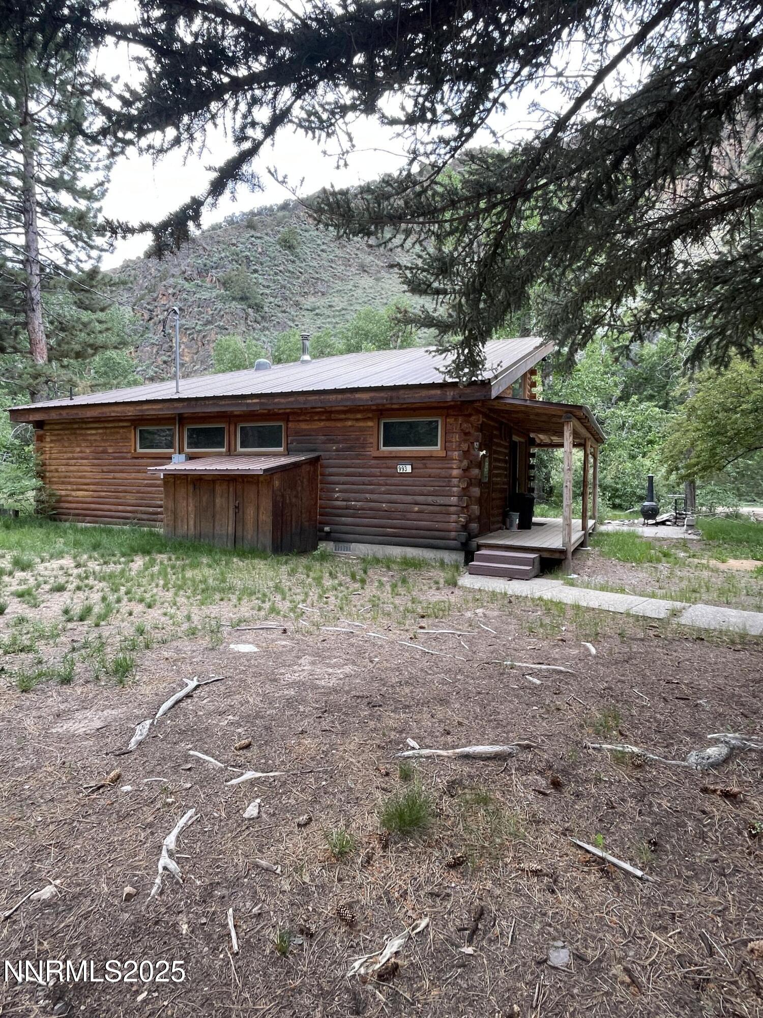 993 E Side Avenue, Jarbidge, NV 89826 — photo 3