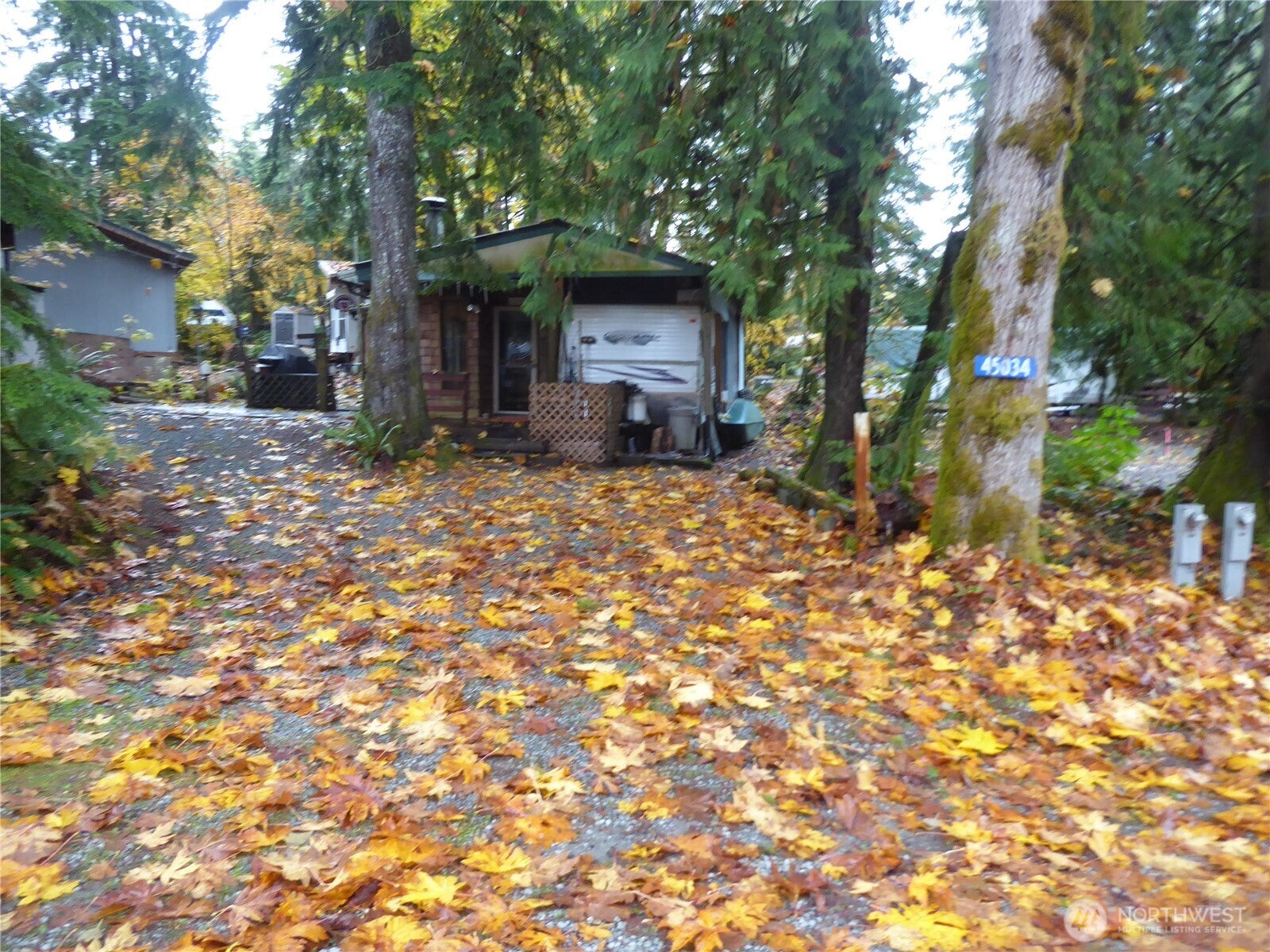 45034 Kachess Trail 3C54 — photo