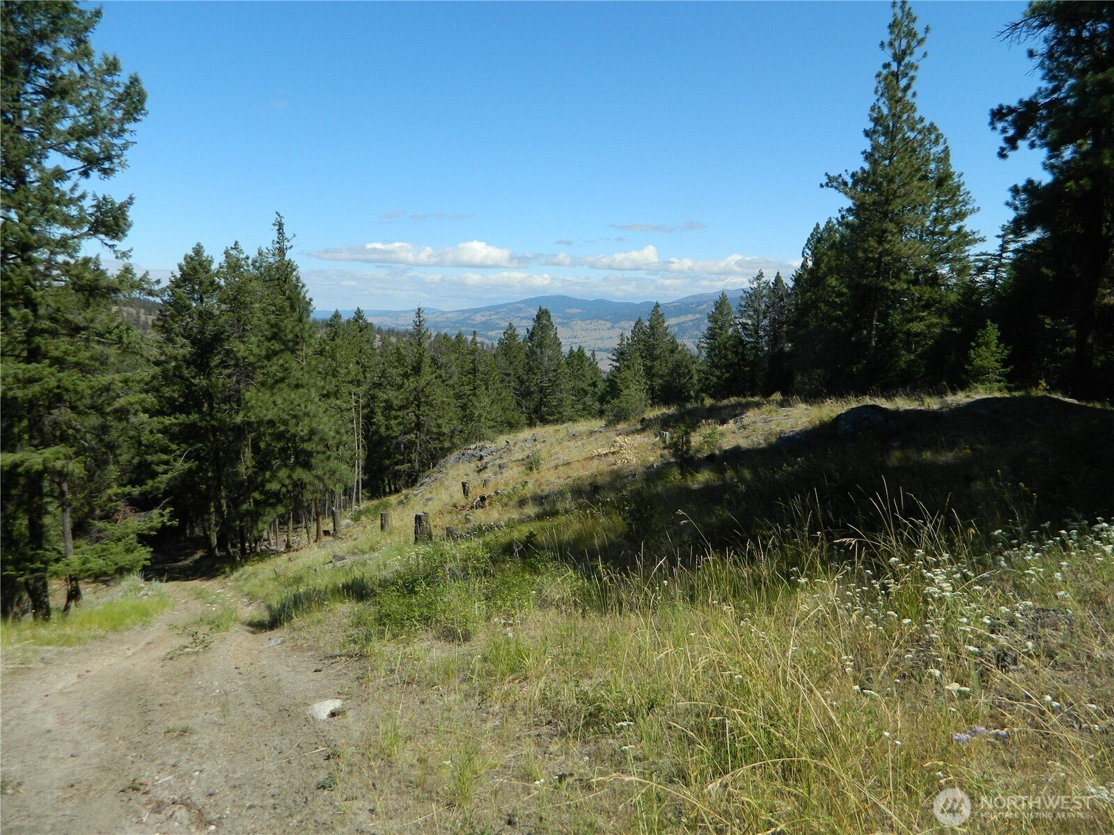 0 Tbd Snowbunny Ridge Drive — photo