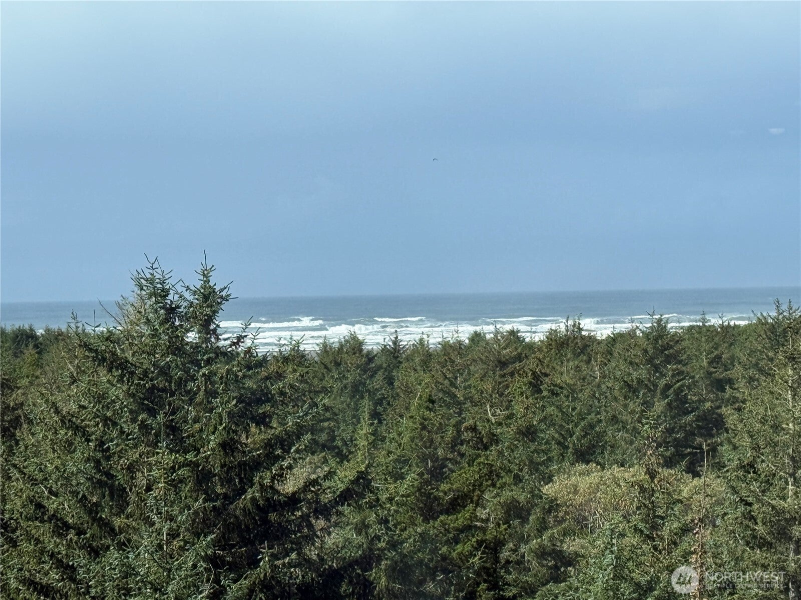 2815 Willows Road 116 — photo
