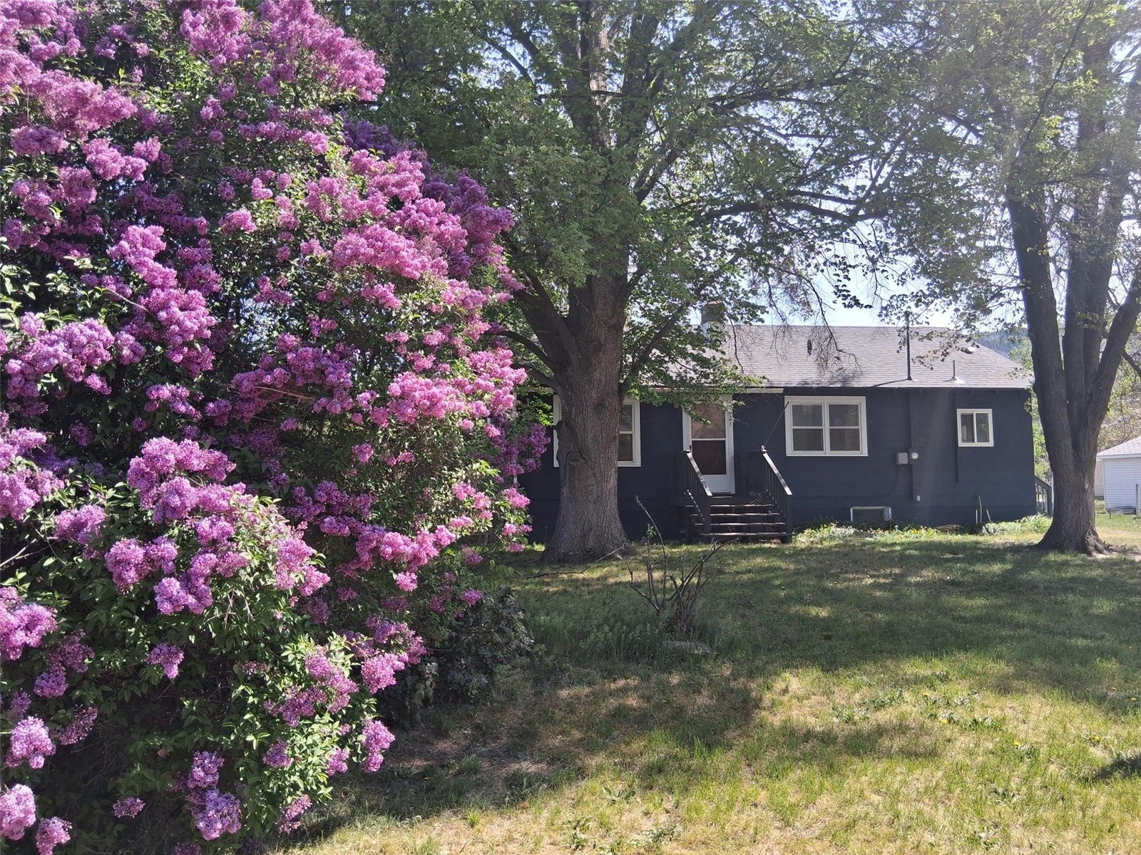 621 Juniper — photo