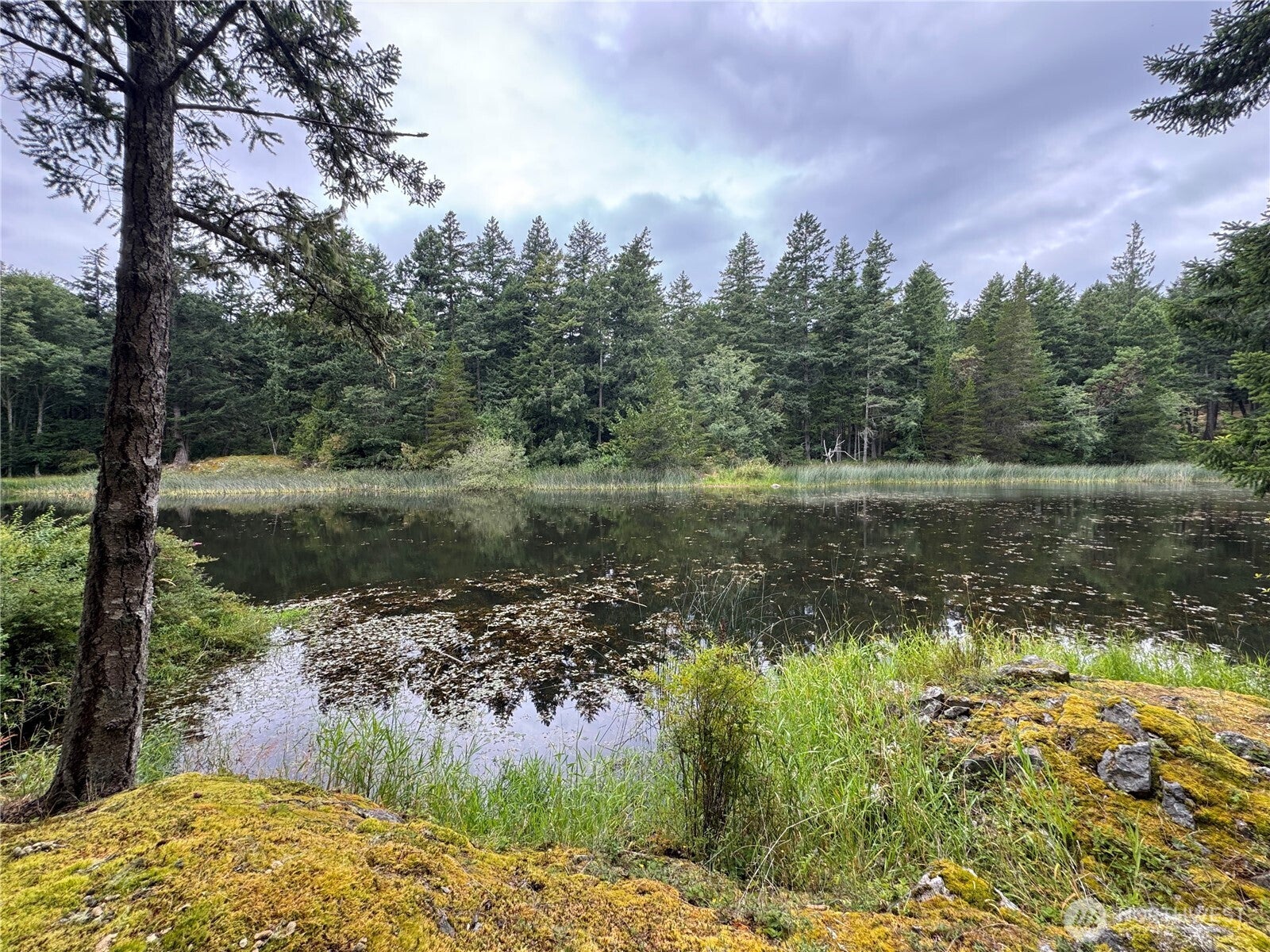 230 Serendipity Lane — photo