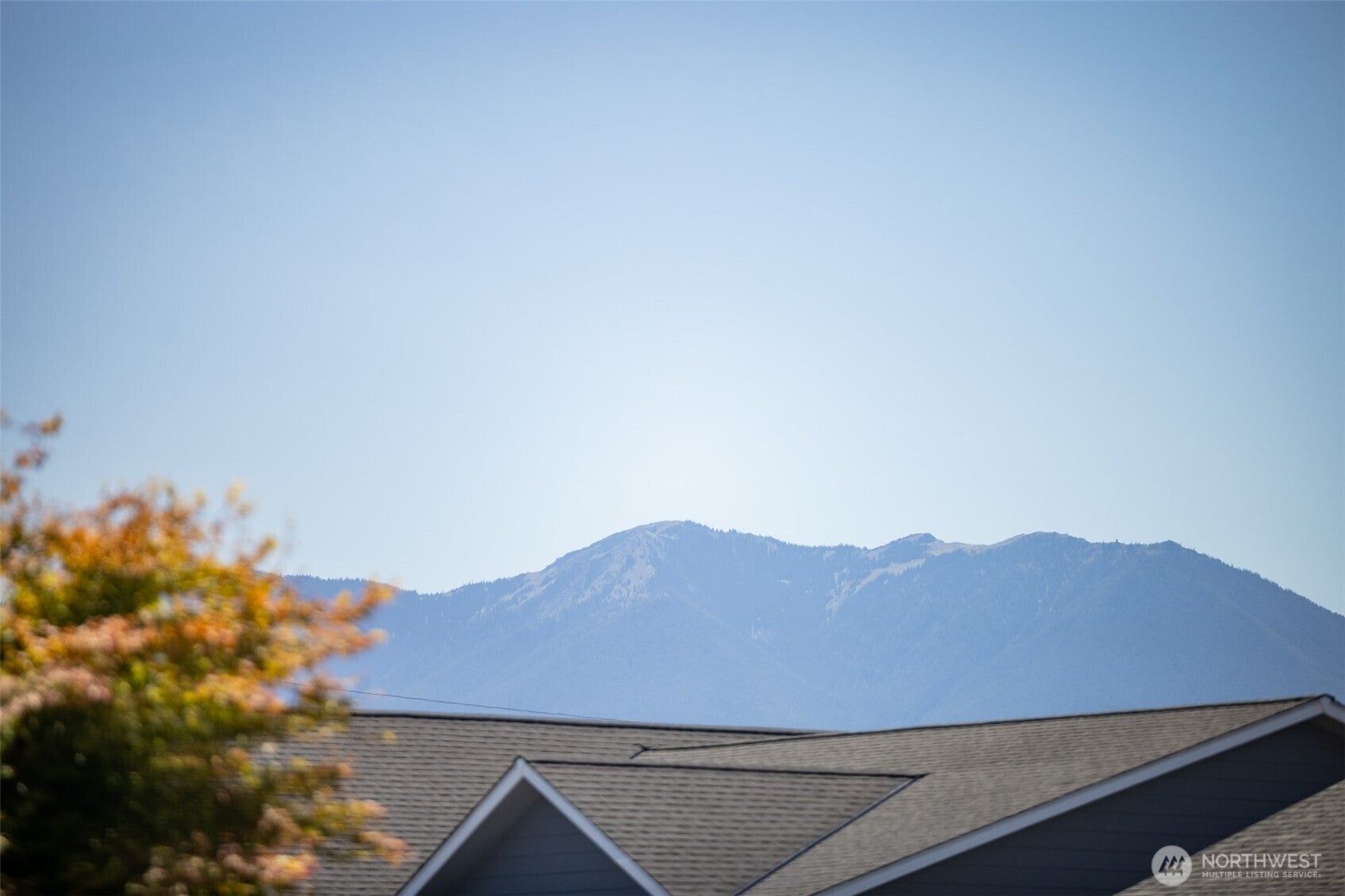 191 Choice Loop, Sequim, WA 98382 — photo 2