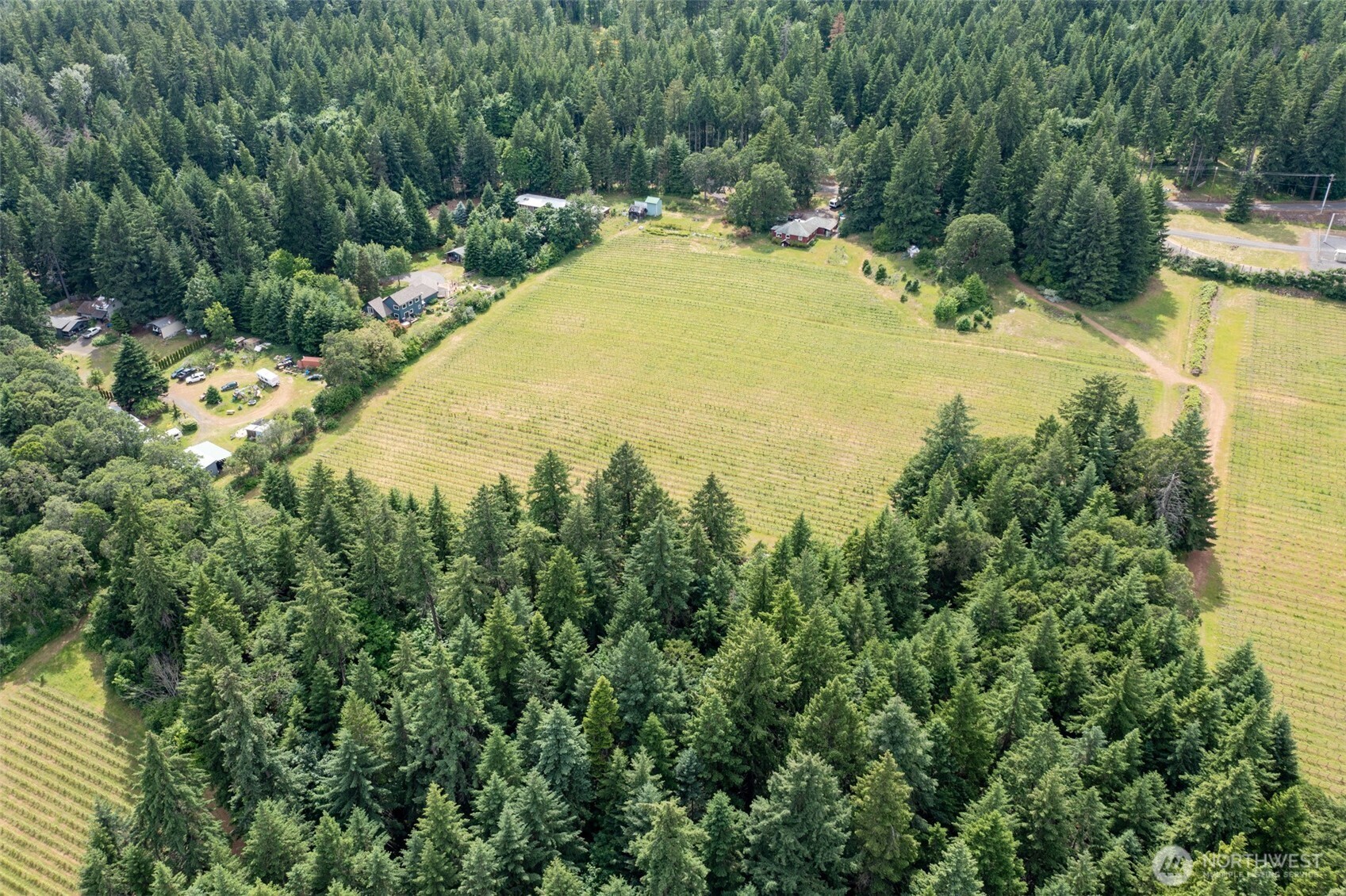 391 Newell Road, Underwood, WA 98651 — photo 2